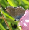 243948 – Photo : Catherine Reymonet-Smitten – France (19)